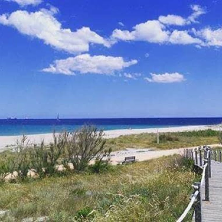 Imagen relacionada de valencia recupera la bandera azul para la playa arbre del gos