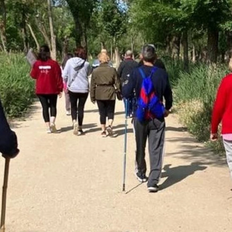 Imagen relacionada de iv marcha saludable madrid estilos vida activa saludable