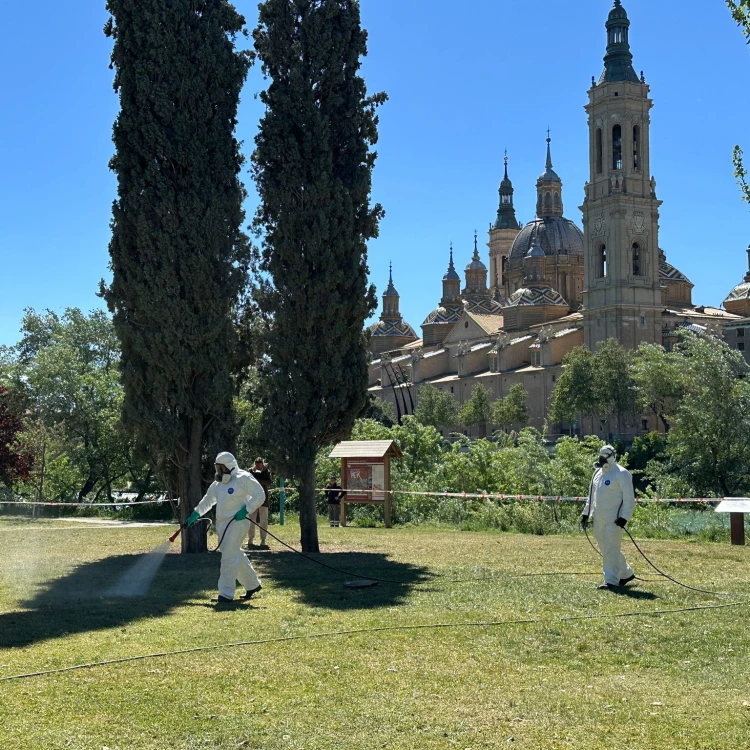 Imagen relacionada de campaña prevencion garrapatas zaragoza